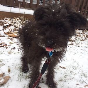 Meet your Posher, Lydia